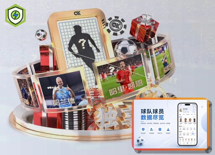 发展历程与稳定运营 3